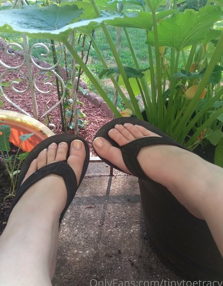 tinytoetracy nude pornstar pics