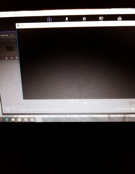 alurajenson2011 sex pornstar picture