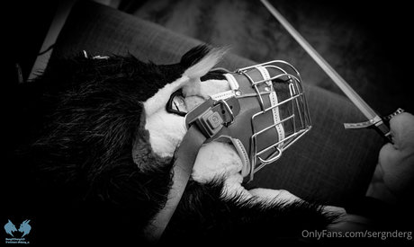 anime girls onlyfans hot sexy gallery