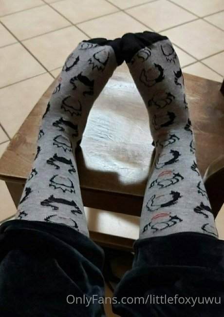 littlefoxyuwu beautiful model galleries