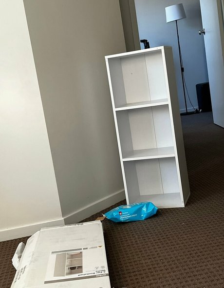 pzz drey nice model pic