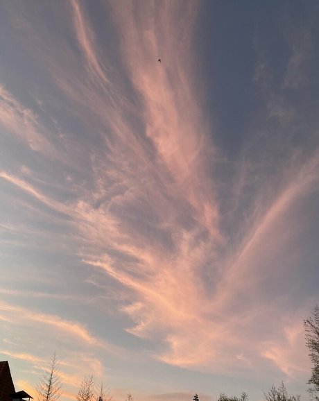 emily morgan nude star picture