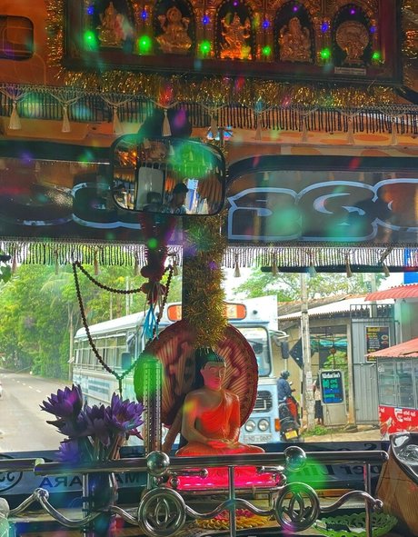 Aagrus pornstar art archive