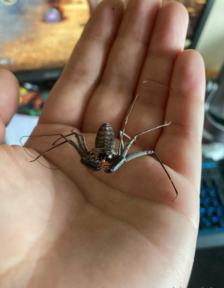 onlyfans creampie naked pics