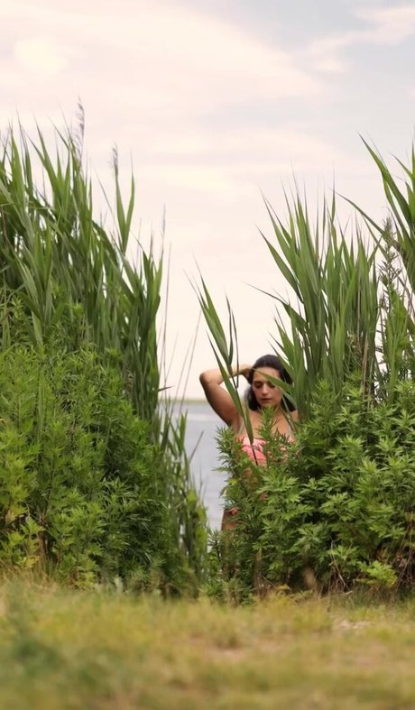 shemale handjob onlyfans porn pic