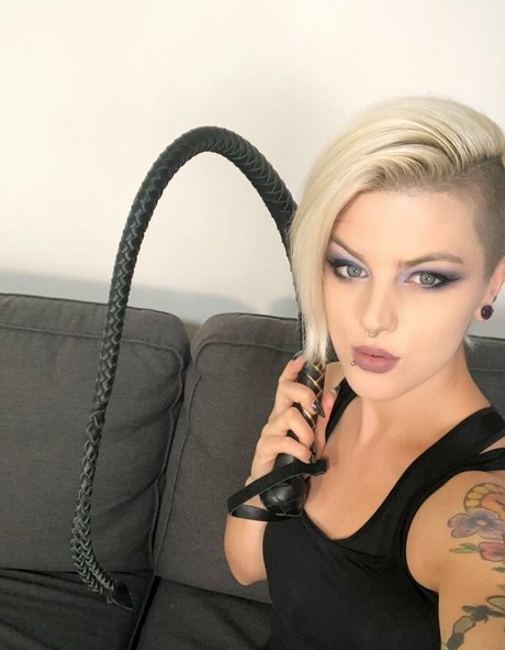 dicentra6 free model img