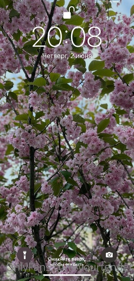 tenderalise pornstar sex img