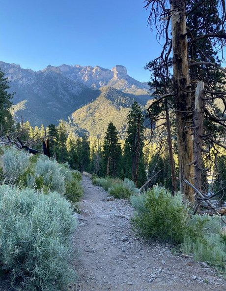 freejohnnystone star nice images