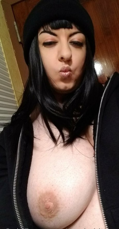 trash kitten star best image