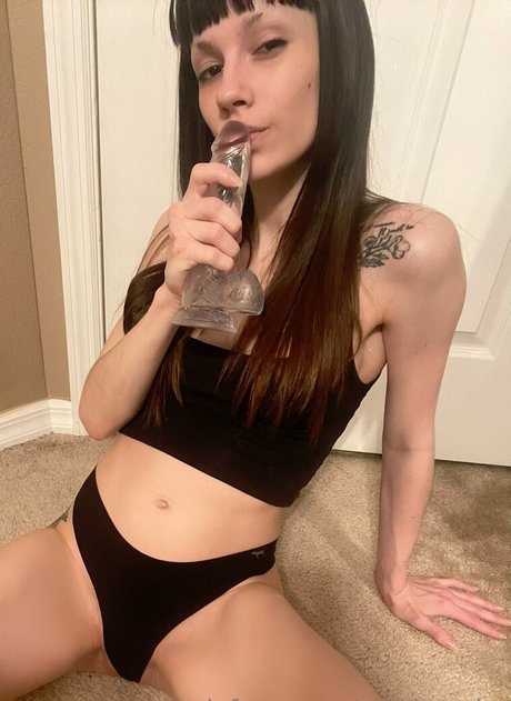 whoisambo free star picture