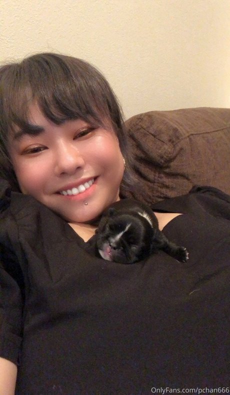 Pchan 666 sexy star archive