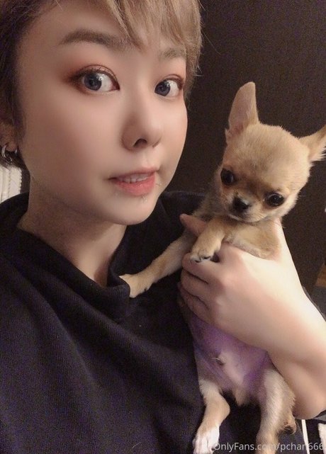 gloryhole princess onlyfans beautiful xxx archive