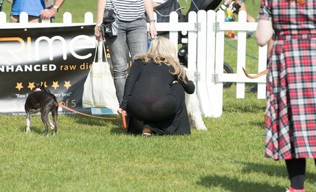 Meg Matthews nudes pornstar picture