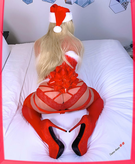 ameetrans Quick photo