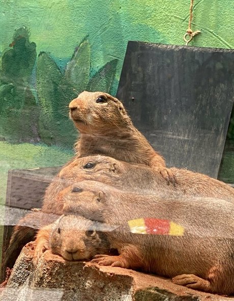 latina onlyfans free porn photo