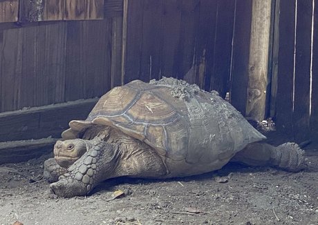 nude onlyfans pretty image