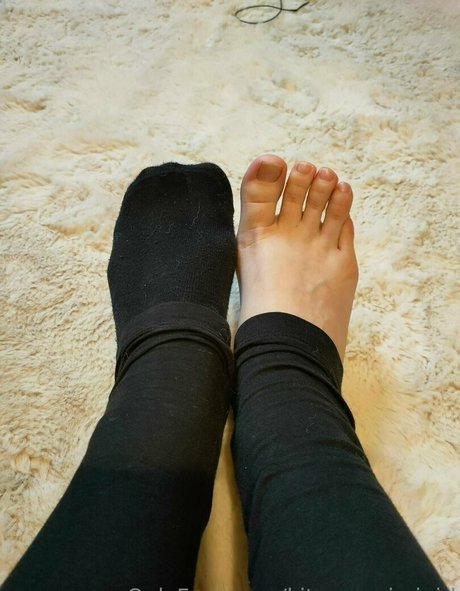 kitsunemimigirl art pornstar image