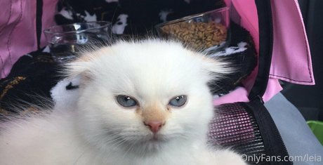 hot ebony onlyfans art nude pics