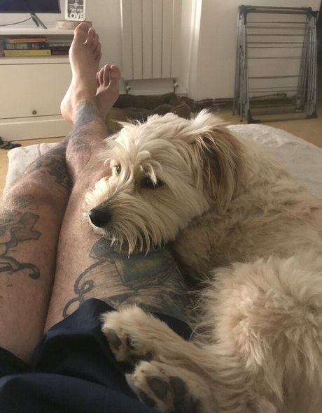 gay fuck onlyfans free porn archive