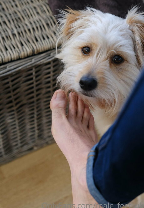 male feet uk pornstar nice image