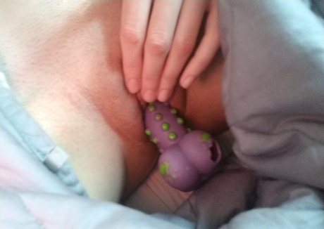 noormaud Quick photo