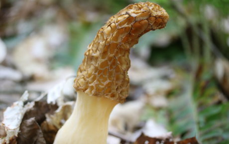 one onlyfans sexy image