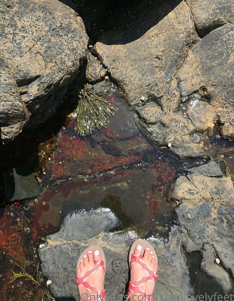 xoxolovelyfeet pornstar exclusive pic