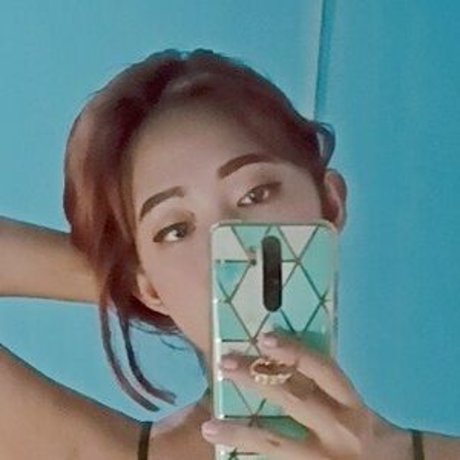 Saltie_ model art images