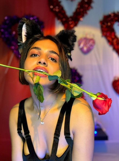 beach blowjob onlyfans nice picture