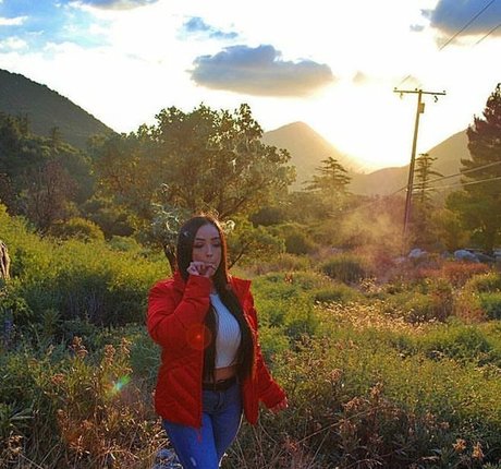 Alissandra Segura naked pornstar gallery