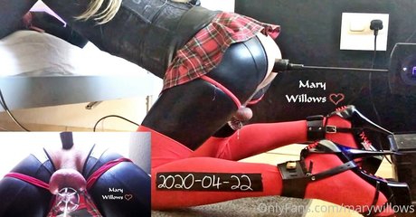 marywillows perfect model picture