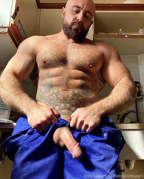thebritishbear1 pornstar free image