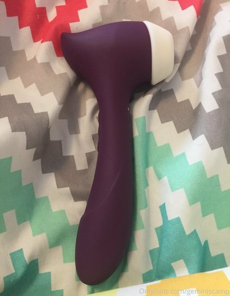 geminiscamp pornstar art gallery