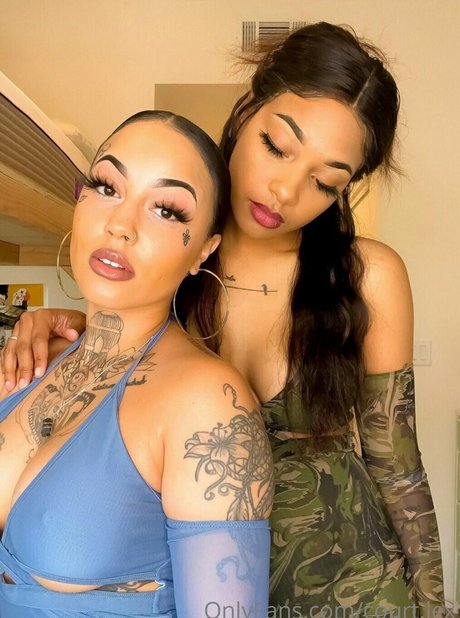 court lex model hd archive