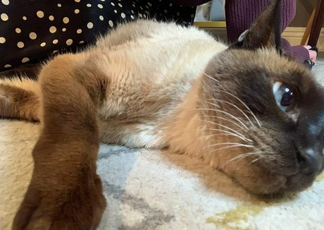 gay joi onlyfans free xxx galleries