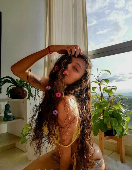 morgana bluee star hd galleries