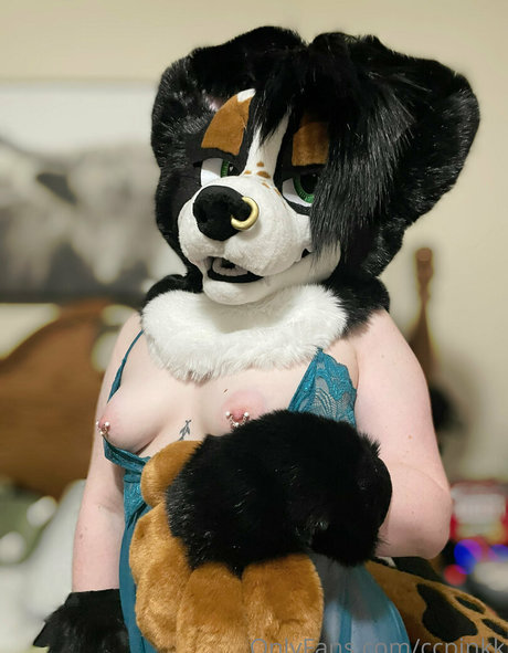 ccpinkk nude pornstar pictures