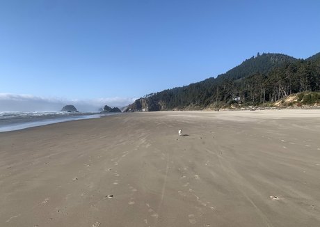 auroraarose xo free pornstar pics