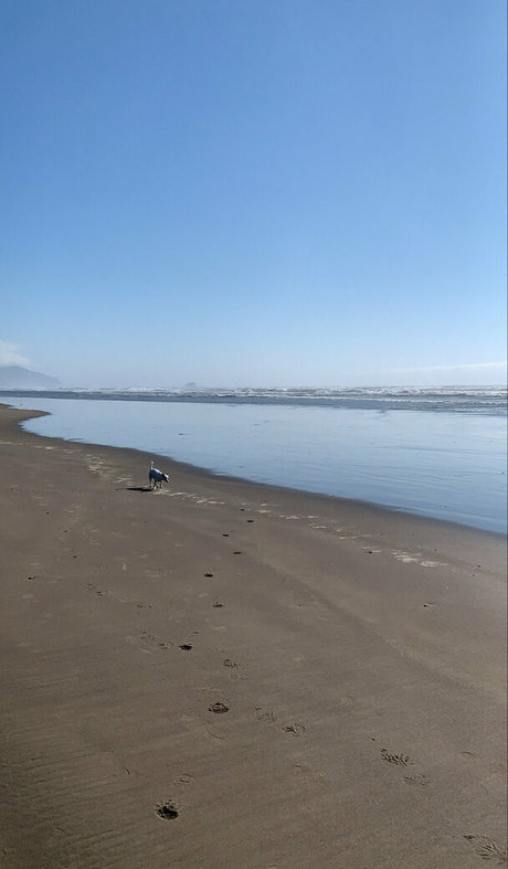 auroraarose xo pornstar sexy pic