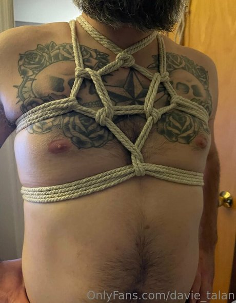 davie talan beautiful pornstar galleries