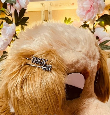 sinner shimmer beautiful star photo