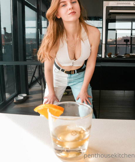 penthousekitchen sex pornstar photo