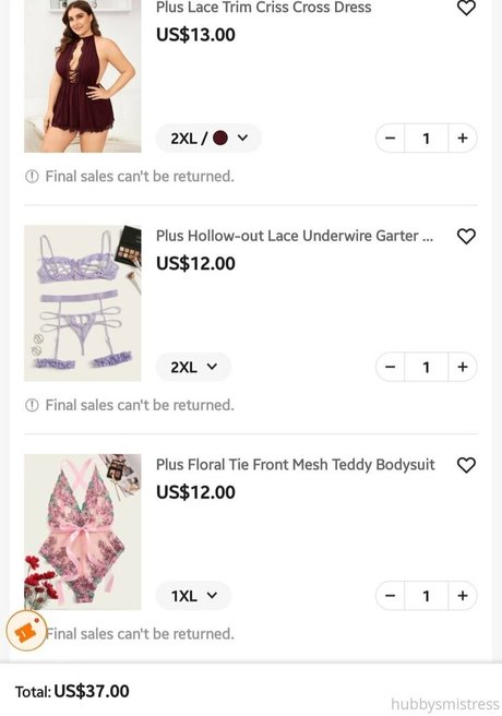 myhusbandsmistress hd pornstar galleries