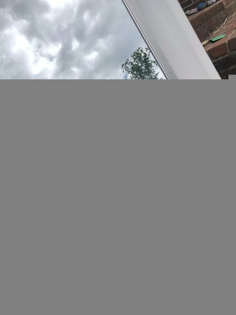 wickedwildrose model hd archive