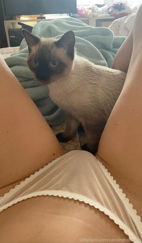 carolinecalloway pornstar top photo