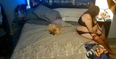 bbwdelights porn star photos