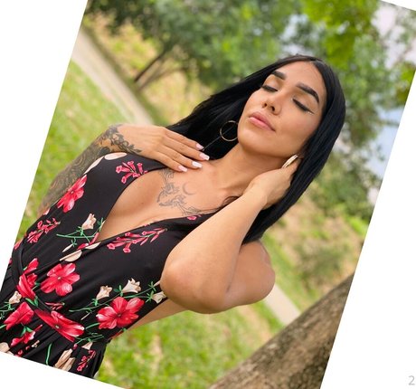 vicosexx perfect star image