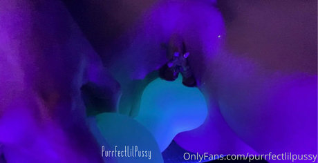 purrfectlilpussy star best image