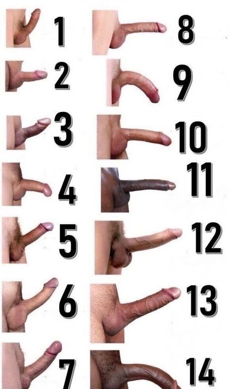 curvylucina pornstar best galleries