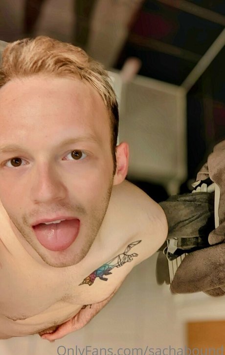 sachabound high quality star picture